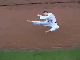 Free Image On Pixabay Karate Kick Jumping Martial Arts Karate Martial Arts Free Vector Images