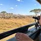Tanzania Women’s Safari Serengeti Wildlife  event image