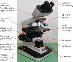 They may also be known as studs or threaded rods and are available in various lengths, diameters and finishes. Instruments Of Microscopy Microbiology