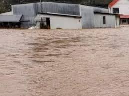 Fundraiser by Liza MacKinnon : Help Azafrán Catering rebuild from  HurricaneHelene