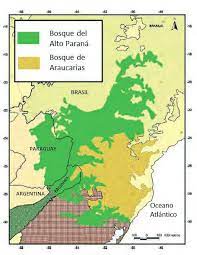 Los argentinos la conocemos como selva misionera o paranaense. Distribucion De Las Ecorregiones Bosque Atlantico Del Alto Parana Download Scientific Diagram