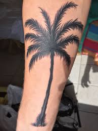 Love My New Palm Tree Tattoo Form Curacao Tree Tattoo Men Palm Tattoos Tree Tattoo Arm