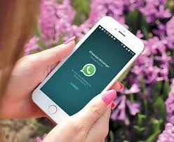 What does put me in my place mean? 11 Bits Of Whatsapp Slang You Need To Master Today Ef Go Blog