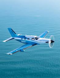 Image result for Piper