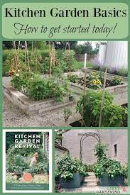Kitchen Garden Basics How To Start Growing Food Today Kitchen Garden Growing Food Gardening Trends