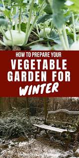 How To Prepare Your Vegetable Garden For Winter Winter Vegetables Gardening Growing Winter Vegetables Garden Preparation