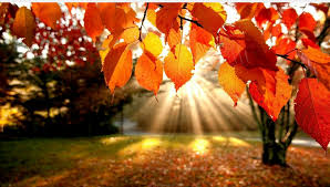 Traverse City Christian Fall Blessings Arts & Craft Show