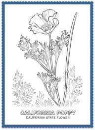 Flowers coloring pages (find many of the state flowers, but without the information written on the page) dltk's countries and cultures activities for kids (crafts, coloring, recipes and more) mojave desert habitat facts and coloring pages (information, worksheets, and activities) California State Flower California Poppy By Usa Facts For Kids Poppy Coloring Page California Poppy Drawing Poppy Drawing