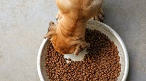 Diamond naturals small breed puppy food is sized smaller than the regular kibbles to be more comfortable for little ones to eat it. Blue Buffalo Vs Science Diet Comparing Two Dog Food Titans