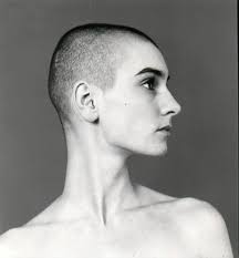 Шине́йд мари́ бернаде́тт о'ко́ннор (англ. Pin On Sinead O Connor