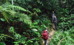 Negara endau rompin pada tahun 1992, taman negara. Hiking In Endau Rompin National Park Via Peta From Here To Nowhere