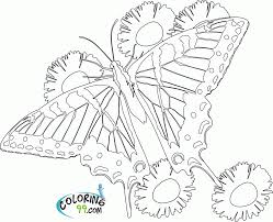 Learn how butterfly wings use ordinary color and structural color. Free Butterfly Mandala Coloring Pages Coloring Home