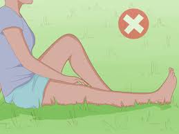 See full list on wikihow.com 3 Ways To Get Rid Of Chiggers Wikihow