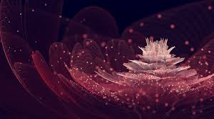 Here you can find the best pink flower wallpapers uploaded by our community. Dark Pink Flower Wallpapers 4k Hd Dark Pink Flower Backgrounds On Wallpaperbat