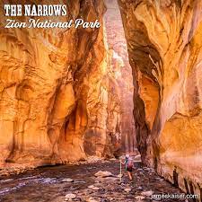 — sam sacks, the wall street journal. Day Hiking The Narrows Bottom Up Ultimate Guide Zion National Park