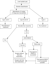Type iii hydatid cysts are those with fluid collection and septa. Surgical Treatment Of Liver Hydatid Cysts Hpb