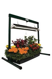 Think of the indoor grow lights as a system that gives plants an excellent balance of temperature, light intensity, and support. Root T Small Grow Light System