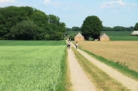 The land.com network consists of three most visited land listing marketplaces on the web — lands connecting more than 12+ million engaged land buyers with sellers, we help drive the most exposure. Signals 2019 Land And Soil In Europe European Environment Agency
