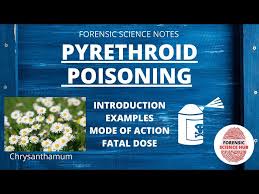 Image result for Pyrethroid