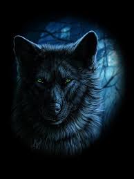 The Green Eyed Handsome Man Wolf Wallpaper Wolf Painting Black Wolf