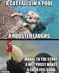 In this surreal animated saga, we get to know the tale of princess dawn, who must find the whispering orchid's cove (and the glass key therein hidden). Swimming Chicken Meme