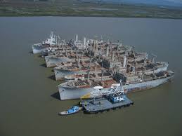 Image result for Gray 2009 Fleet