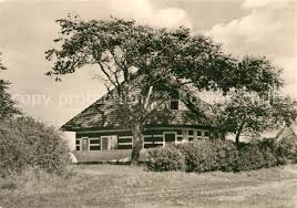 Asta nielsen haus, zum seglerhafen 7, 18565 vitte/hiddensee (tel: Der Artikel Mit Der Oldthing Id 29722056 Ist Aktuell Ausverkauft