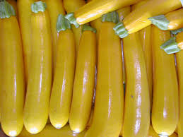 Gambar menanam buah makanan menghasilkan sayur mayur kuning. Zukini Wikipedia Bahasa Indonesia Ensiklopedia Bebas