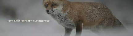 The cyber insurance industry faced a reckoning in 2020 in the wake of a wave of ransomware incidents, according to a report from fitch ratings provided to fox business. Fox Insurance Partners Chicago Il Alignable