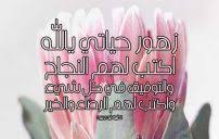 Check spelling or type a new query. ÙƒÙ„Ø§Ù… Ø¹Ù† Ø§Ù„Ù…Ø°Ø§ÙƒØ±Ø© Ù…Ø¶Ø­Ùƒ Ù„ÙŠØ¯ÙŠ Ø¨ÙŠØ±Ø¯