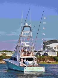 Image result for Rawsonia burtt-davyi