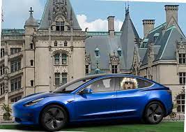 Tesla model s owners learned that the battery capacity was located on a sticker in the wheel well of their car. 2018 Tesla Model 3 Long Range Passes The Sister In Law Test
