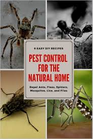 Would like to share the tips given by them: Pest Control Concentrate Indoor Bryan Pest Control Niceville Pest Control Youtube Pest Control Services Near Me For Cockr Pest Control Mama Natural Pests
