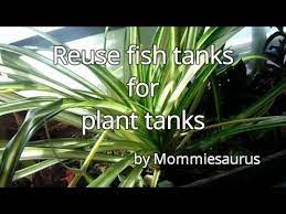 All hardware components needed to install the tray on a specific vehicle are included. Reuse Fish Tanks For Plant Tanks Youtube