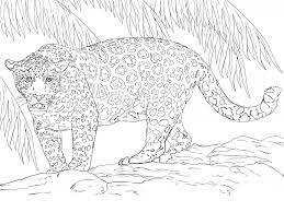 You can download or print a lot of coloring pages with modern transport in this section. Jaguar Coloring Pages One Downloadable Educative Printable