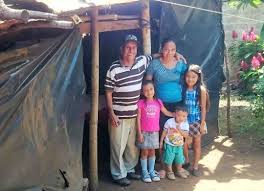 grass-roots Archives