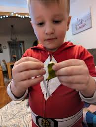 Handmade By Chelsea...