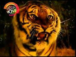A wide selection of free online movies are available on watchseries / watchserieshd. Promo Two Brothers Mega Movie Tv3 20 8 2010 Youtube