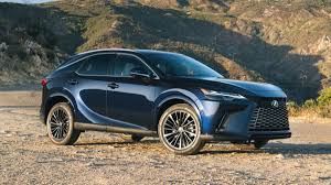 Image result for Breakwater Blue 2009 RX