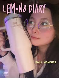 The Best Stanley Cup Accessories for Every Lover