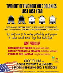 New Survey Finds U S Beekeepers Lost 40 Of Honeybee Colonies Last Year The Worst Winter Decline Recorded In The 13 Year History Bee Keeping Gmo Free Surveys