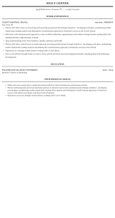 client partner, travel resume sample