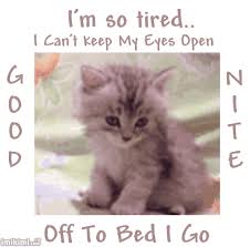 I M So Tired Good Night Good Night Funny Good Night Cat Good Night Greetings