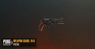 R45 Pubg Mobile Zilliongamer