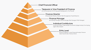 He or she advises executives on how to improve production and efficiency from a monetary standpoint. Job Titles The Definitive Guide Ongig