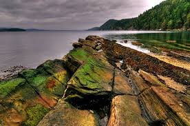 We did not find results for: Northern Bushcraft Free Camping On The Gulf Islands