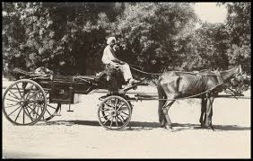 Postcard of Horse Carriage - Agra 1920 ...