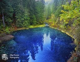 Oregon S Magical Tamolitch Pool Aka The Blue Pool Mike Putnam Photography Tamolitch Pool Best Places To Travel Oregon Travel