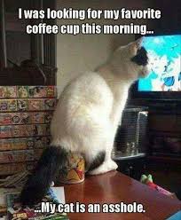 2 To The 1 To The 1 To The 3 Meme Funny Cat Refrigerator Magnet 3 1 2 X 3 1 2 Ebay Funny Animal Pictures Funny Animals Funny Cat Memes