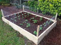 Chicken wire is too soft for wire stretchers; Chicken Wire Mesh Used In Garden As Fence Raised Bed Trellis
